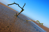 Nairn Beach...