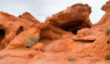  Valley of Fire SP