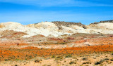  San Rafael Reef 1