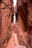 Fiery Furnace 6
