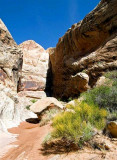 Double Arch Canyon 1