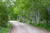 Sun Valley 5