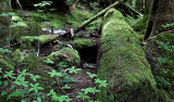 Deception Falls 1.jpg