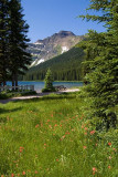  Waterton Lakes NP