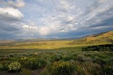 Hayden Valley