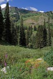 Albion Basin