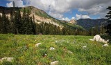 Albion Basin