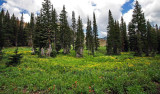  Albion Basin