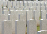 Frost on Headstones.jpg