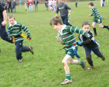 Swansea Uplands Under 8 Section v South Gower