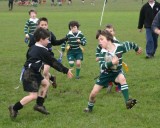 Swansea Uplands Under 8 Section v South Gower