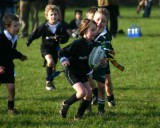 Swansea Uplands Under 8 Section v South Gower