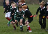 Swansea Uplands v Penclawdd Under 8