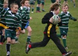 Swansea Uplands v Penclawdd Under 8