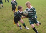 Swansea Uplands v Waunarlwydd
