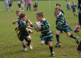 Swansea Uplands v Waunarlwydd
