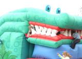 Snappy croc.JPG