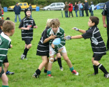 Swansea Uplands Under 9s