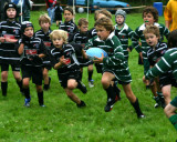 Swansea Uplands Under 9s