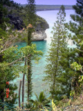 DSC01253_lifou.JPG