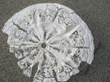 inside of the bottom of a sand dollar
