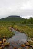 Stream