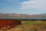 20061008_6750 Isle aux Coudres.jpg