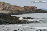 20070704_1853 Grand Manan.jpg