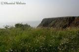 20070704_1836 Grand Manan - Southwest head.jpg