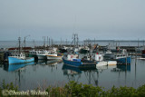 20070704_1786 Grand Manan - Seal Cove.jpg