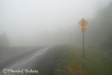 20070705_2270 St-Martins - Fundy trail.jpg