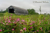 20070706_2578 Sawmill Creek Bridge.jpg