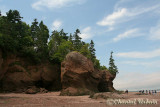 20070706_2626 Hopewell Rocks.jpg