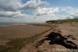 20070707_2406 Shediac - Parlee beach.jpg