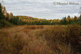 20071007_4206 Parc de la Mauricie.jpg