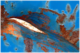 Rust on blue 2