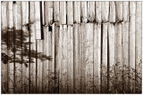 Wall and shadows, Runde