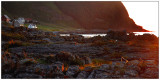 Bird and Goksøyr in the evening sun