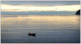 Evening fishing in Vågsøy