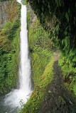  Tunnel Falls Along  Eagle Creek Trail In Oregon