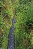  View Of  Slot Canyon Off  4 Mile Bridge