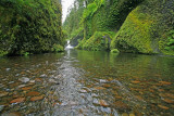 Wading Eagle Creek To Get  Punch Bowl Shot