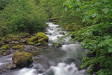Eagle Creek Near Three Mile Bridge