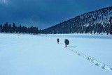 Crossing The Sierras ( Truckers Photo)