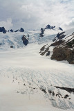 View Of Blue Glacier And Mt. Olympus