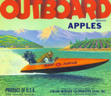 1950s Apple Box Label