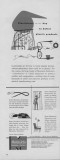11.1951.012.bmp.jpg