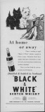 12.1952.011.bmp.jpg
