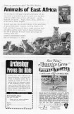 05.1969.035.tif