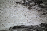 Boiling mud pool Solfatara. The minerals are reputedly very therapeutic